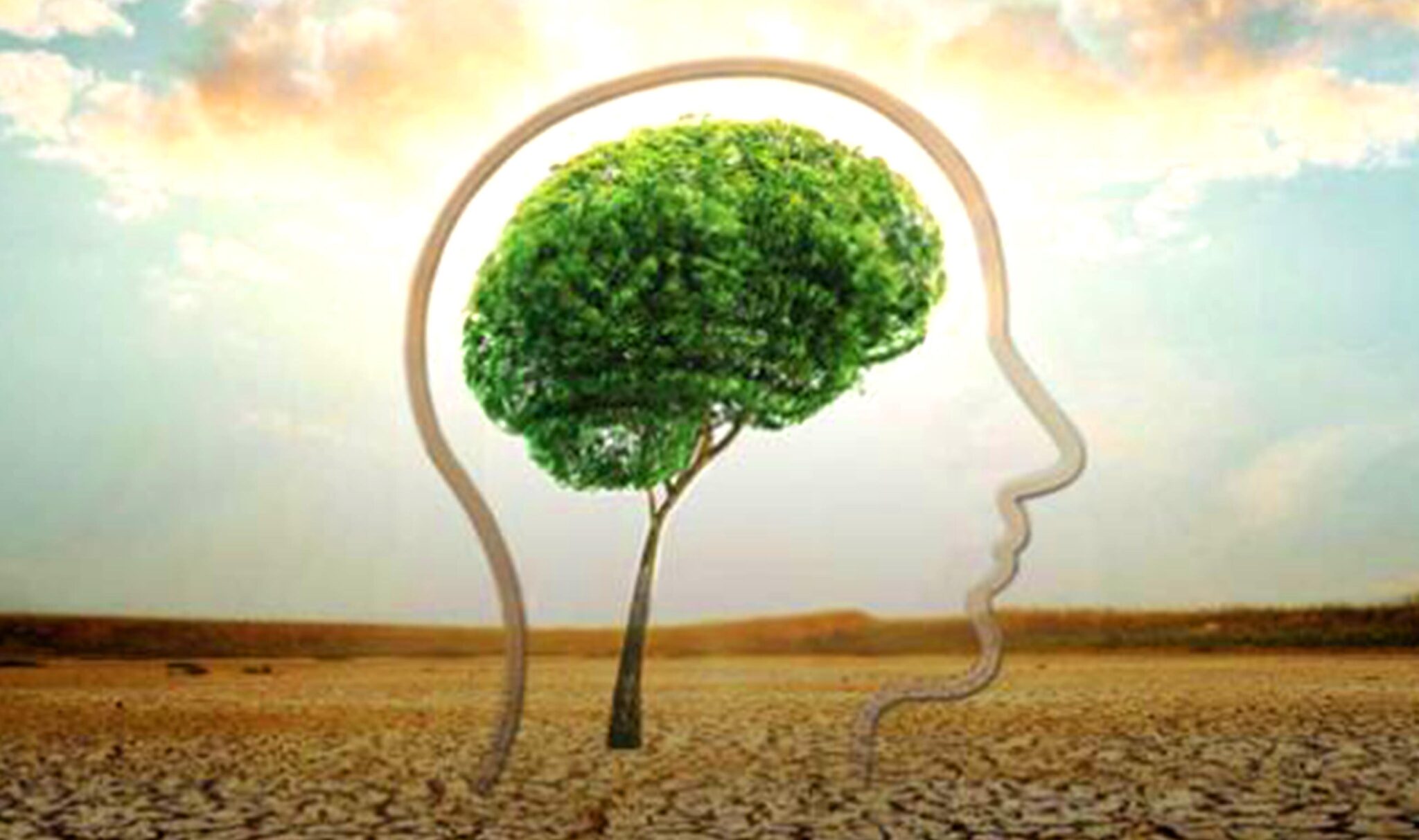 Climate: Knowledge Into Action Training – Glasgow – Scottish ...