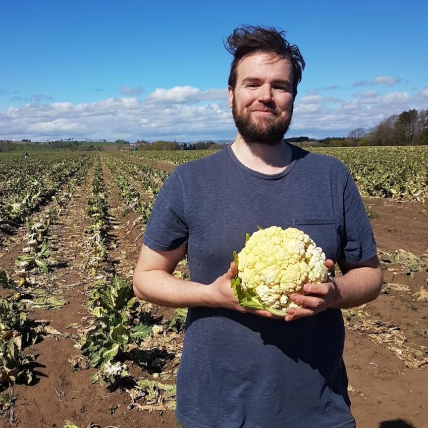 Alex from Transition Dundee holding a gleaned cauliflower in a field