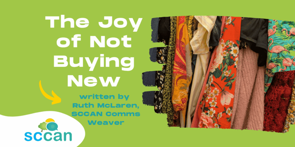 Joy of Not Buying New cover